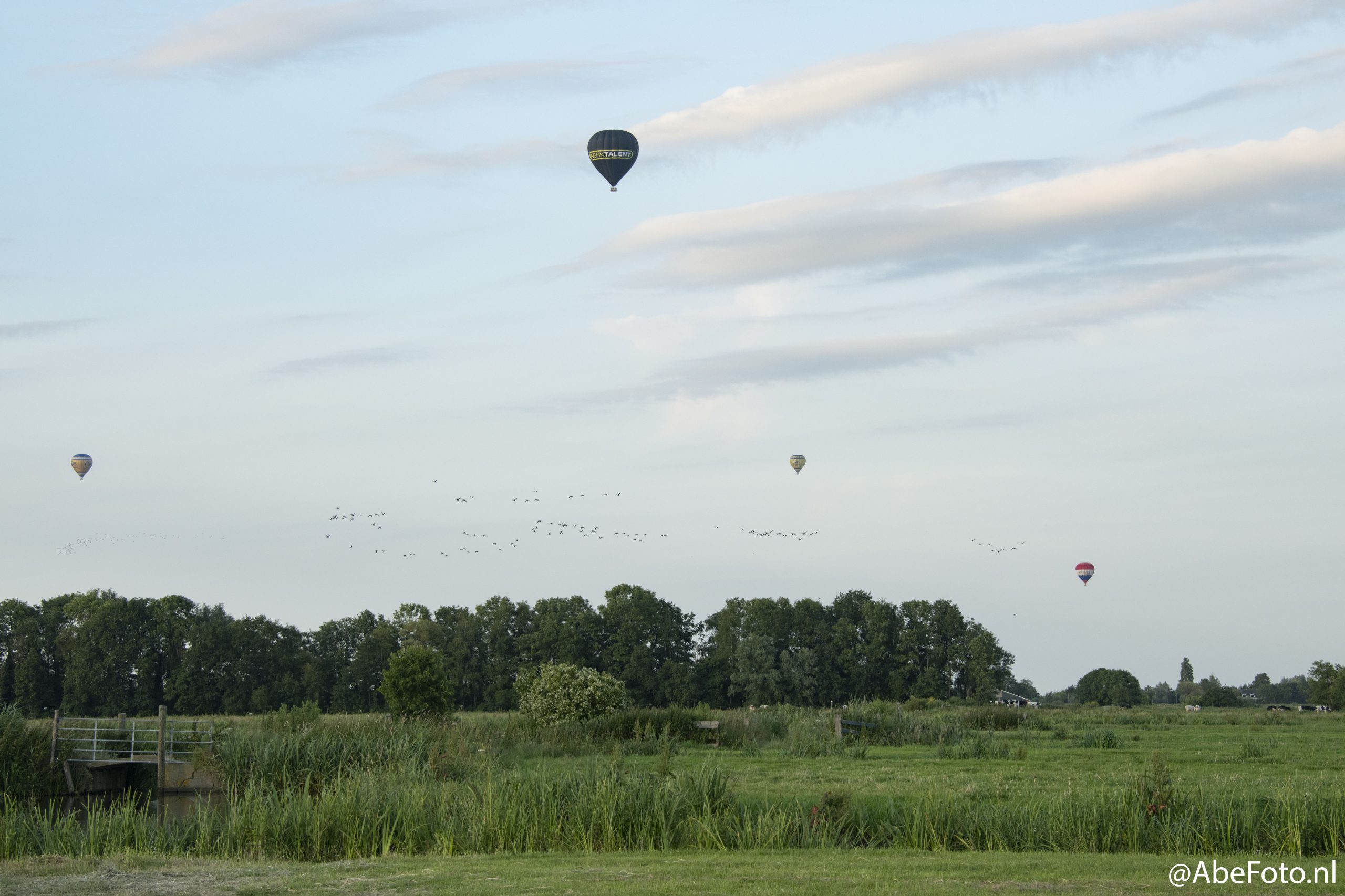 DSC_4664-a-watermarked